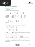 Matrice y Determinantes (Ejercicios)