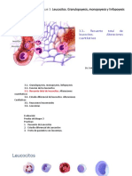 Recuento de Leucocitos