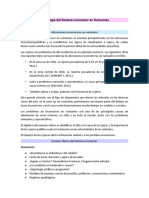 24.04 - Semiología Del Sistema Locomotor en Rumiantes