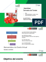 Derivados Del Tomate