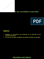 Embriología 13 A Las Cavidades Corporales