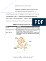 Anatomy of The Pelvis (Pelvic Ring)