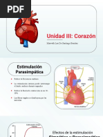 El Corazon