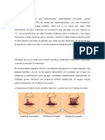 Tecnica Quirurgica Labio Leporino, Paladar Hendido y Ano Imperforado