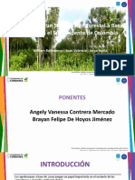 Evaluacion de Un Sistema Agroforestal