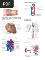 Caderno Resumo, Cardio Fisioterapia