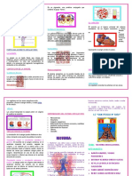 Triptico Del Aparato Circulatorio