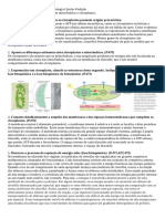 Estudo Dirigido - Clotoplastos