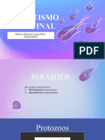 Parasitismo Intestinal Presentación