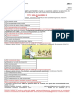 Tema 4 - Grilla Corrección