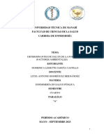 Determinantes de La Salud, Factores Ambiental