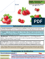 Catalogue Fraise