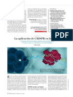 Aplicacion CRISPR - Cas Humanos