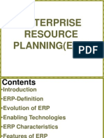 Enterprise Resource Planning (Erp)