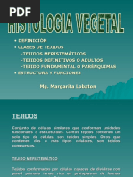 Clase 3 Histologia Vegetal