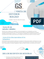 Informe de Visita A Sgs