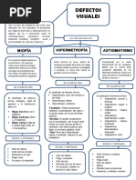 Mapa Conceptual de Defectos Visuales