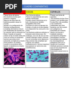 Cuadro Comparativo..