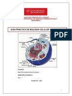 Guía Práctica #04 Biología Celular y Molecular