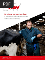 Bovine Reproductive Ultrasound Guide