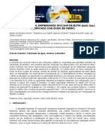 Trabalho Biochar Modificado Com Óxido de Ferro