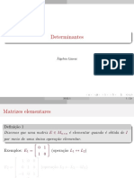 Slides - Determinantes