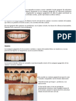 Contorno Del Margen Gingival