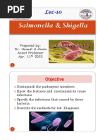 L15 Salmonella