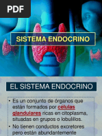 Sistema Endocrino