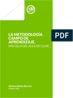 Metodologia Campo de Aprendizaje