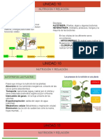 Unidad 10 Nutrición Relación