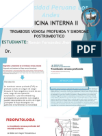 Trombosis Venosa Profunda y Sindrome Postrombotico