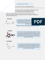 De Los Neurotransmisores: Análisis de Las Funciones