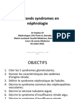 Les Grands Syndromes en Néphrologie