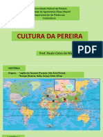 Cultura Da Pereira 2018z - Paulo Celso