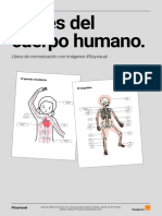 Libro de Comunicación. Partes Del Cuerpo Humano