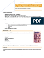 T 01 Conceptos Dermatología (VM)