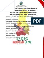 PDF Documento