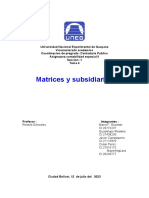 Matrices y Subsidiarias Trabajo