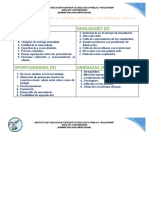 Analisis Foda de La Empresa Comercial Distribuidora Ceralva Sac