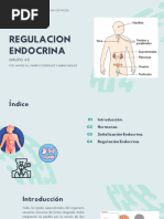 Regulacion Endocrina