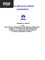 041020188EM5Y30QFEASIBILITYREPORT