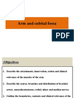 Arm and Cubital Fossa