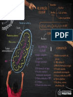 Spe NV 2022 em XX v2 Lousa Bio PF Dig f01 c05