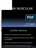 Sistema Muscular