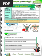 A-1º Act 2 Cyt Unid 3 - Sem 1