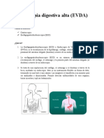 Endoscopia Digestiva Alta