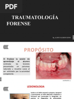 CLASE 13 - Traumatología OLF