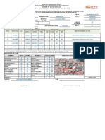 Cedula de Informacion Tecnica para Campo Ok