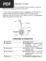 The Digestive System - Q4 M1